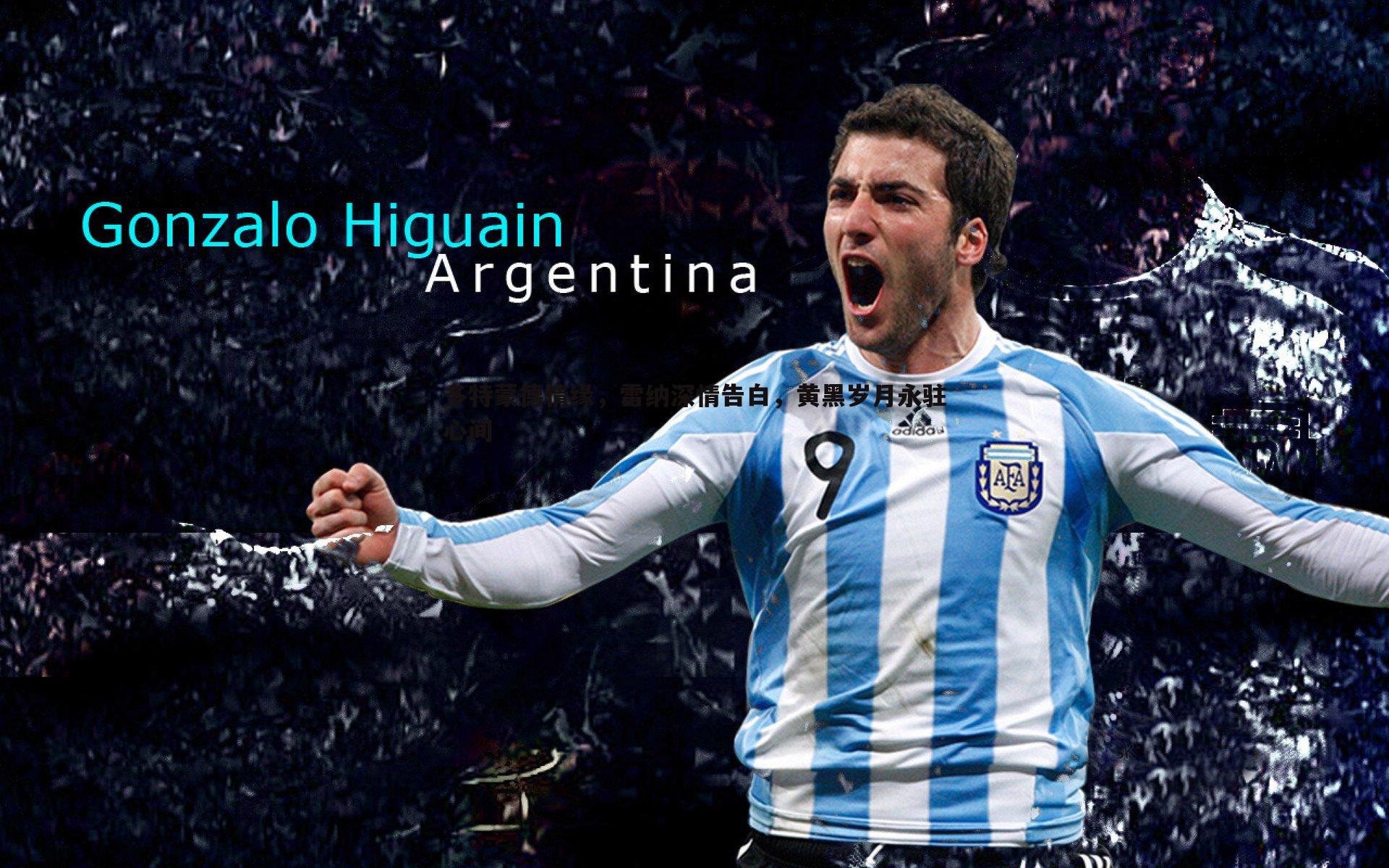 多特蒙德情缘，雷纳深情告白，黄黑岁月永驻心间